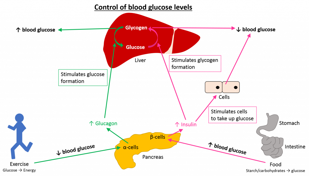 diabetes-control-how-to-reduce-fasting-blood-sugar-level-during-pregnancy