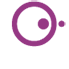 paragon.75.white_.png