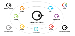 The Prime Global group